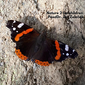 E-kniha Nature for children, part 2