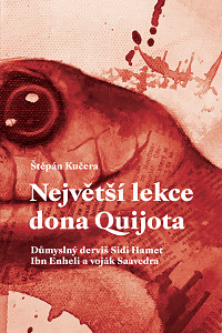E-kniha Největší lekce dona Quijota