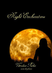 E-kniha Night Enchantress