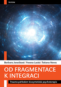 E-kniha Od fragmentace k integraci