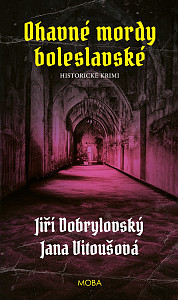 E-kniha Ohavné mordy boleslavské