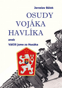 E-kniha Osudy vojáka Havlíka