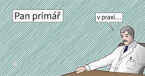 E-kniha Pan primář v praxi