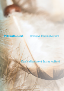 E-kniha Perinatal Loss