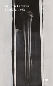E-kniha Pomlčka v těle