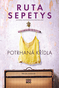 E-kniha Potrhaná křídla