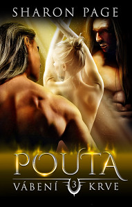 E-kniha Pouta