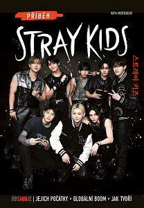 E-kniha Příběh Stray Kids