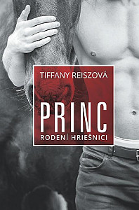 E-kniha Princ