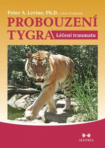 E-kniha Probouzení tygra