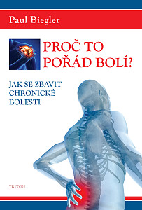 E-kniha Proč to pořád bolí?