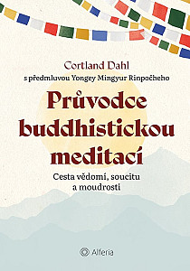 E-kniha Průvodce buddhistickou meditací