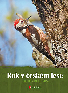 E-kniha Rok v českém lese