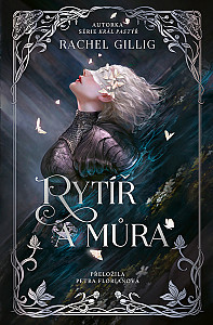 E-kniha Rytíř a můra