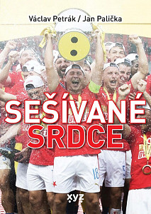 E-kniha Sešívané srdce