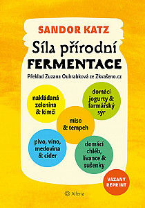 E-kniha Síla přírodní fermentace
