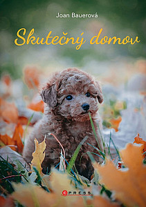 E-kniha Skutečný domov