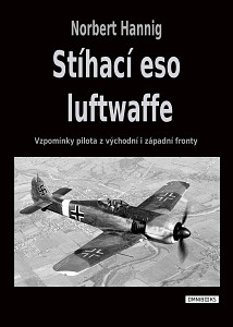 E-kniha Stíhací eso luftwaffe