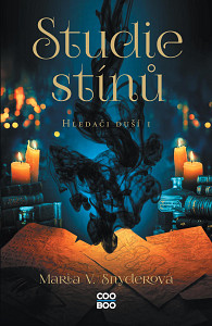 E-kniha Studie stínů
