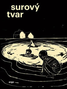 E-kniha Surový tvar