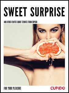E-kniha Sweet surprise - and other erotic short stories