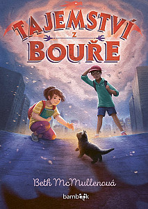 E-kniha Tajemství z bouře