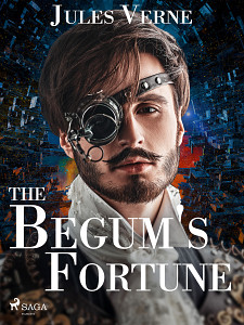 E-kniha The Begum's Fortune