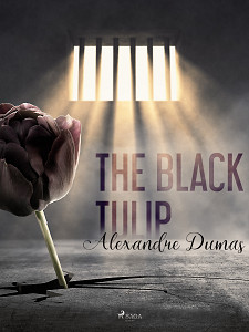 E-kniha The Black Tulip