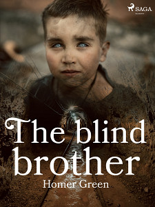 E-kniha The Blind Brother