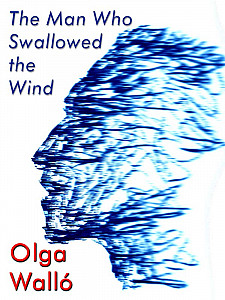 E-kniha The Man Who Swallowed the Wind