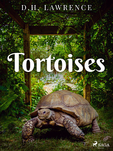 E-kniha Tortoises
