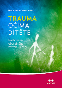 E-kniha Trauma očima dítěte