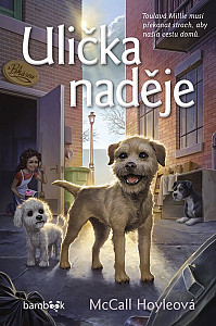 E-kniha Ulička naděje