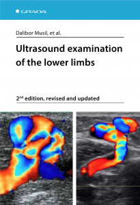 E-kniha Ultrasound examination of the lower limbs