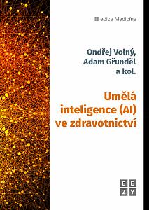 E-kniha Umělá inteligence (AI) ve zdravotnictví