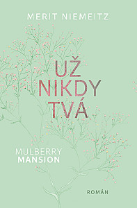 E-kniha Už nikdy tvá