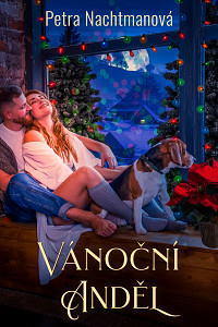 E-kniha Vánoční anděl