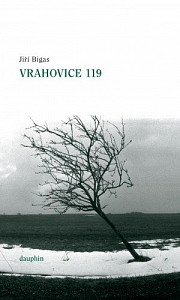 E-kniha Vrahovice 119