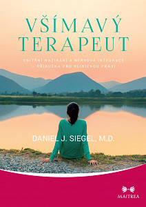 E-kniha Všímavý terapeut