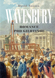 E-kniha Wavesbury