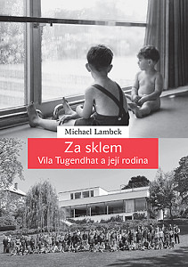 E-kniha Za sklem