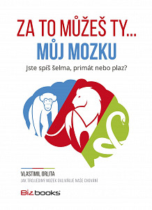E-kniha Za to můžeš ty... můj mozku