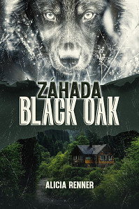 E-kniha Záhada Black Oak