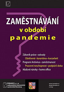 E-kniha Zaměstnávání v období pandemie
