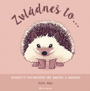 E-kniha Zvládneš to...