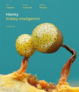 Hlenky - Krásky inteligentní