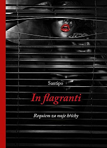 In flagranti - Requiem za moje hříchy