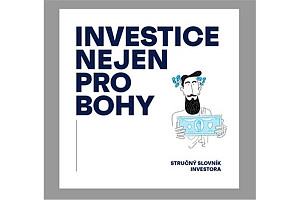 Investice nejen pro bohy - Stručný slovník investora