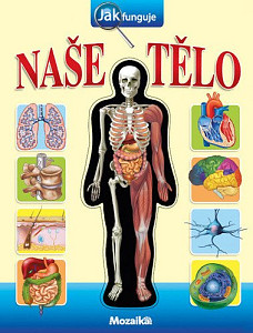 Jak funguje naše tělo?