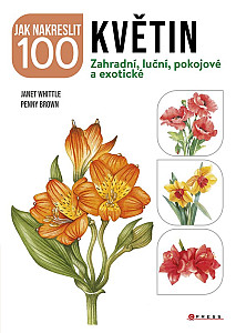 Jak nakreslit 100 květin